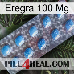 Eregra 100Mg viagra3
